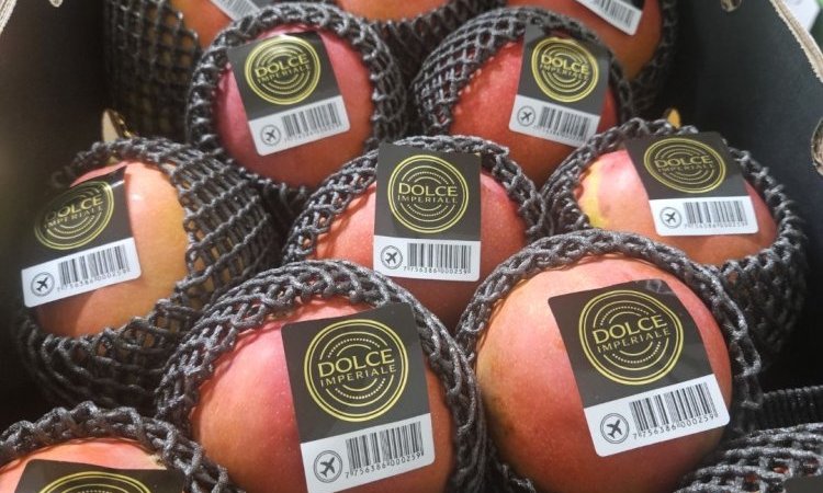 Vente et livraison fruits et légumes fin d'année 2025 dans la Loire