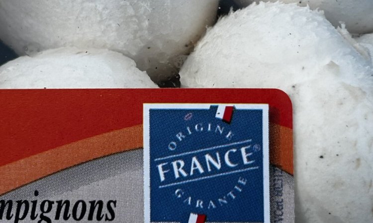 Nouveauté vente et livraison champignons de Paris blanc origine France