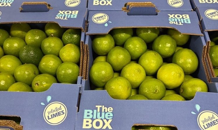 Vente et livraison fruits et légumes fin d'année 2025 dans la Loire