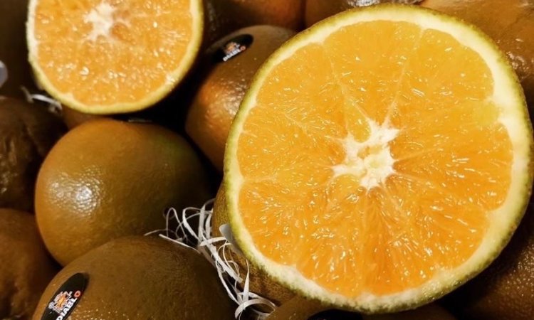 Vente et livraison fruits et légumes fin d'année 2025 dans la Loire