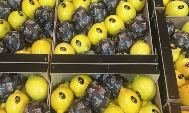 Vente et livraison fruits et légumes fin d'année 2025 dans la Loire