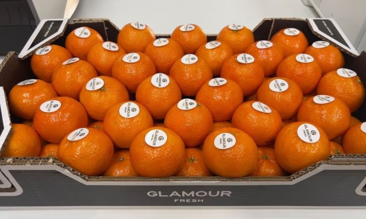 Vente et livraison fruits et légumes fin d'année 2025 dans la Loire