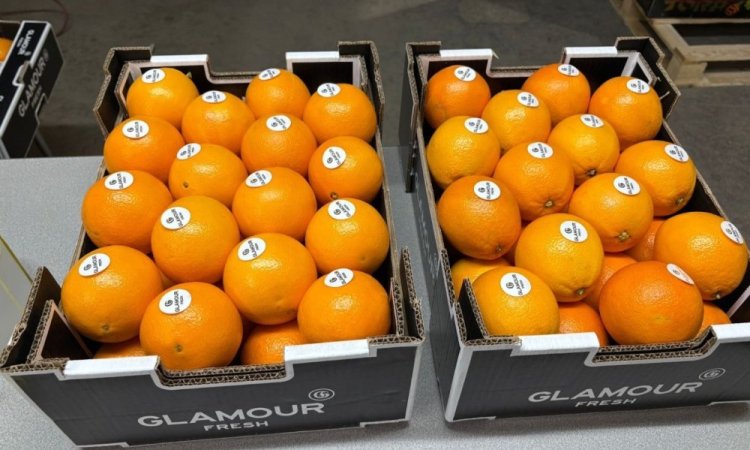 Vente et livraison fruits et légumes fin d'année 2025 dans la Loire