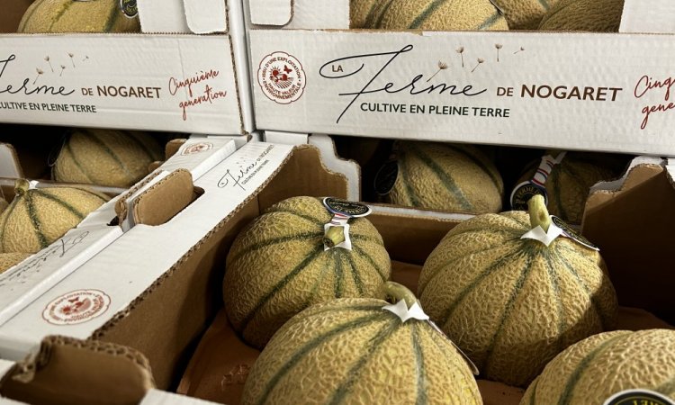 Vente et livraison de melon dans la Loire