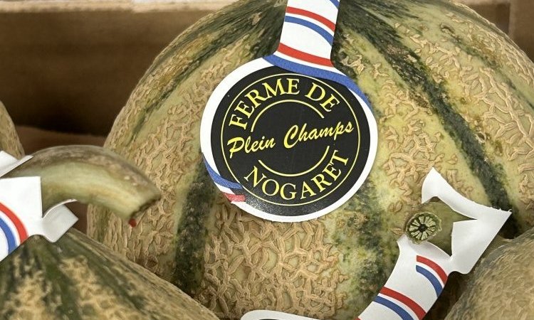 Vente et livraison de melon dans la Loire