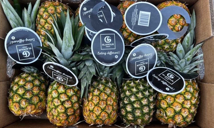 Vente et livraison ananas secteur Saint-Etienne