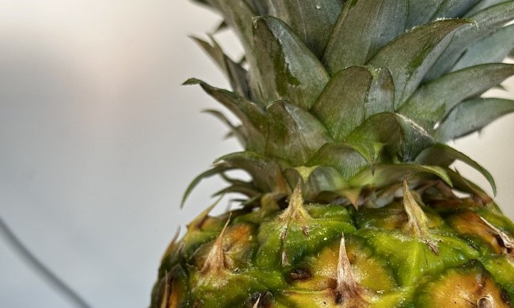 Vente et livraison ananas secteur Saint-Etienne