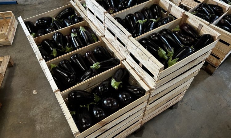 Vente livraison aubergine France dans la Loire