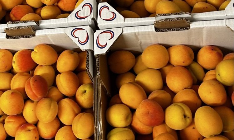 Vente livraison abricot France sur Saint-Etienne