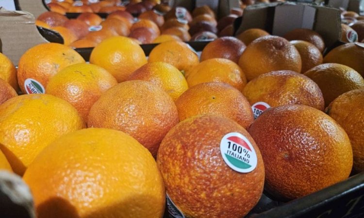 Livraison et vente d'oranges Tarocco origine Italie dans la Loire