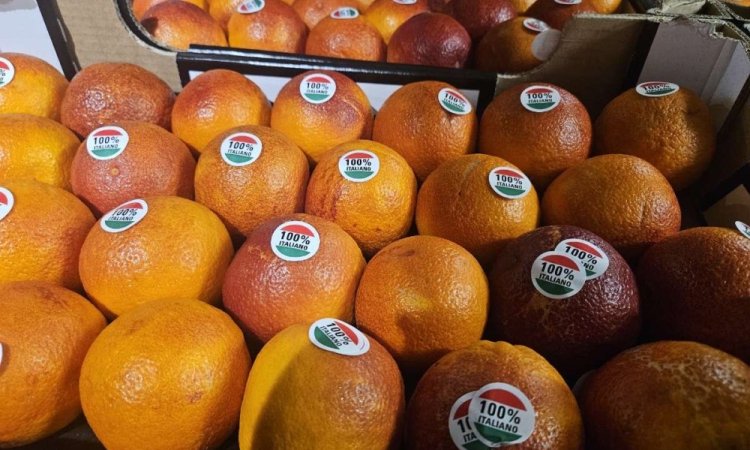 Livraison et vente d'oranges Tarocco origine Italie dans la Loire