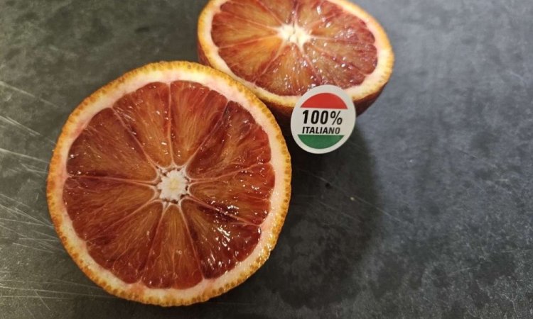 Livraison et vente d'oranges Tarocco origine Italie dans la Loire