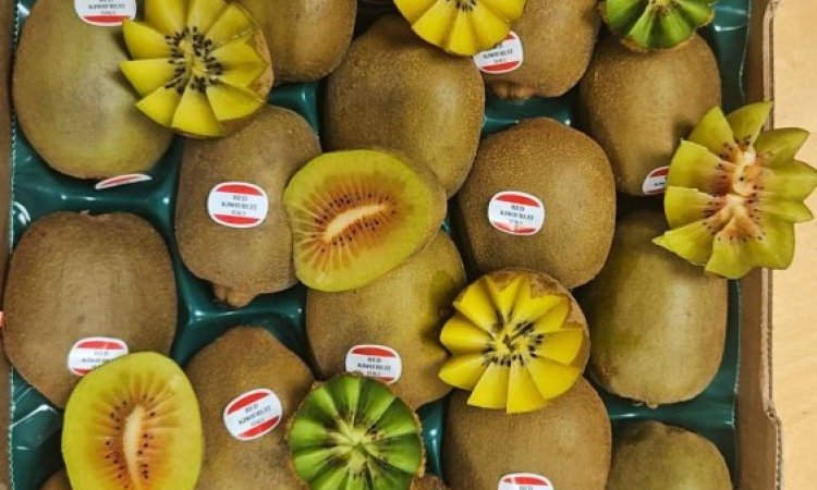 Vente et livraison de kiwis verts, kiwis jaunes, kiwis rouges dans la Loire