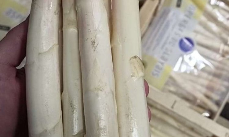 Vente et livraison d'asperges blanches françaises sur Saint-Étienne