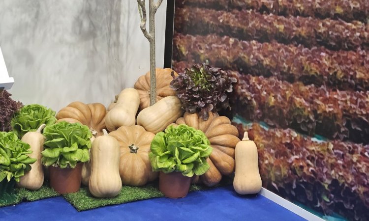 TAP FRUITS au Salon international de Madrid en octobre 2023