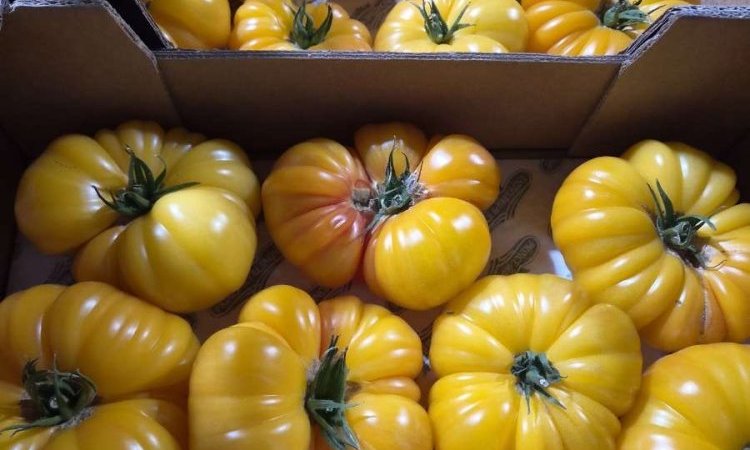 Vente et livraison de produits de printemps à Saint-Étienne : fraises, tomates, asperges et petits pois