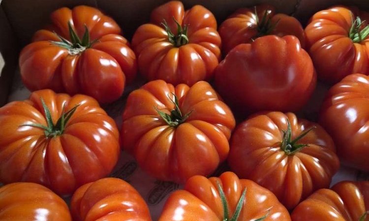 Vente et livraison de produits de printemps à Saint-Étienne : fraises, tomates, asperges et petits pois
