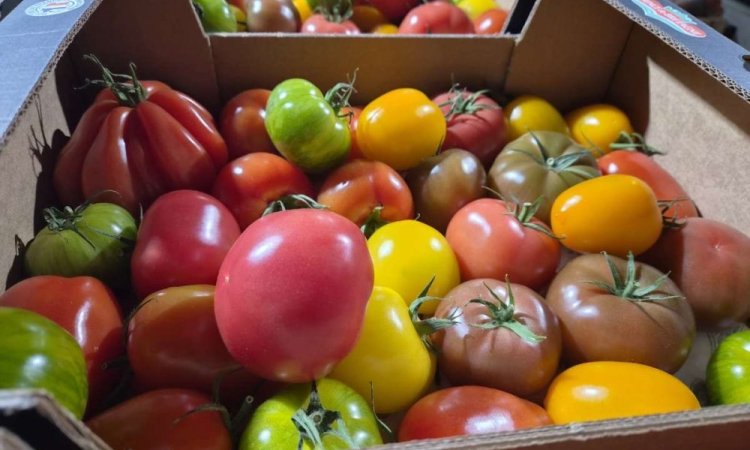 Vente et livraison de produits de printemps à Saint-Étienne : fraises, tomates, asperges et petits pois