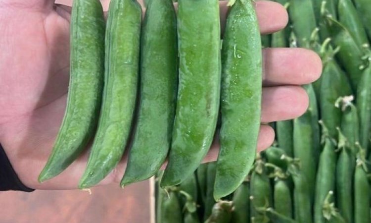 Vente et livraison de produits de printemps à Saint-Étienne : fraises, tomates, asperges et petits pois