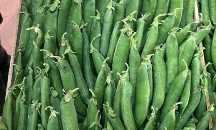 Vente et livraison de produits de printemps à Saint-Étienne : fraises, tomates, asperges et petits pois