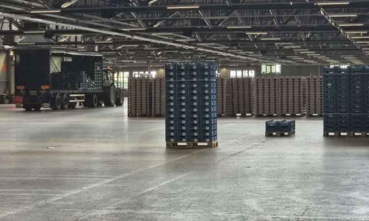 Achat et sécurisation des approvisionnements en fruits et légumes pour livraison à Saint-Étienne et dans la Loire