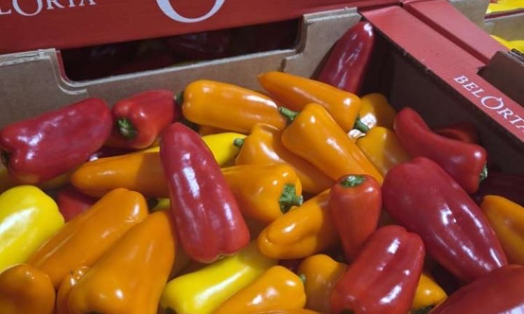 Achat et sécurisation des approvisionnements en fruits et légumes pour livraison à Saint-Étienne et dans la Loire