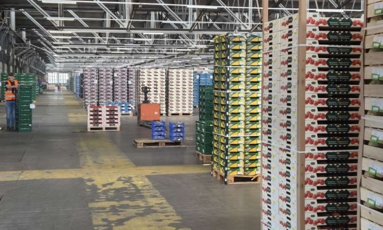 Achat et sécurisation des approvisionnements en fruits et légumes pour livraison à Saint-Étienne et dans la Loire