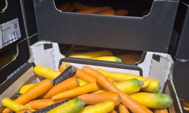 Achat et sécurisation des approvisionnements en fruits et légumes pour livraison à Saint-Étienne et dans la Loire