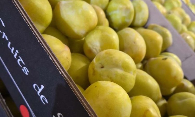 Vente et livraison de prunes et melons à Saint-Étienne : les fruits de saison du mois d'aoû