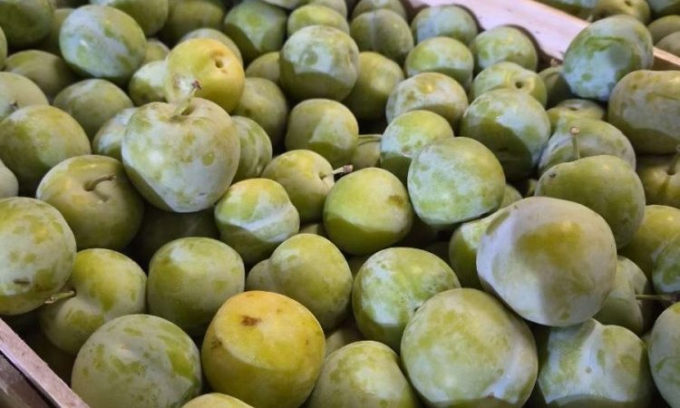 Vente et livraison de prunes et melons à Saint-Étienne : les fruits de saison du mois d'aoû