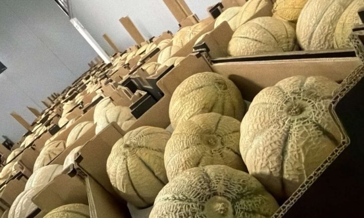 Vente et livraison de prunes et melons à Saint-Étienne : les fruits de saison du mois d'aoû