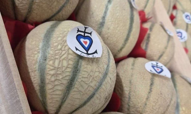 Vente et livraison de prunes et melons à Saint-Étienne : les fruits de saison du mois d'aoû