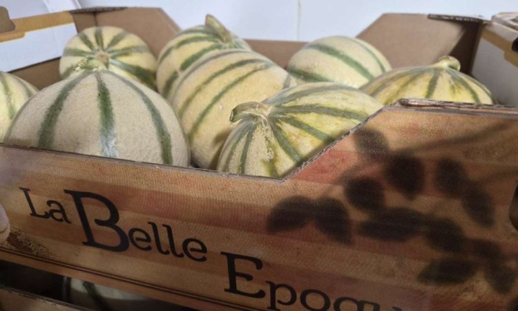 Vente et livraison de prunes et melons à Saint-Étienne : les fruits de saison du mois d'aoû