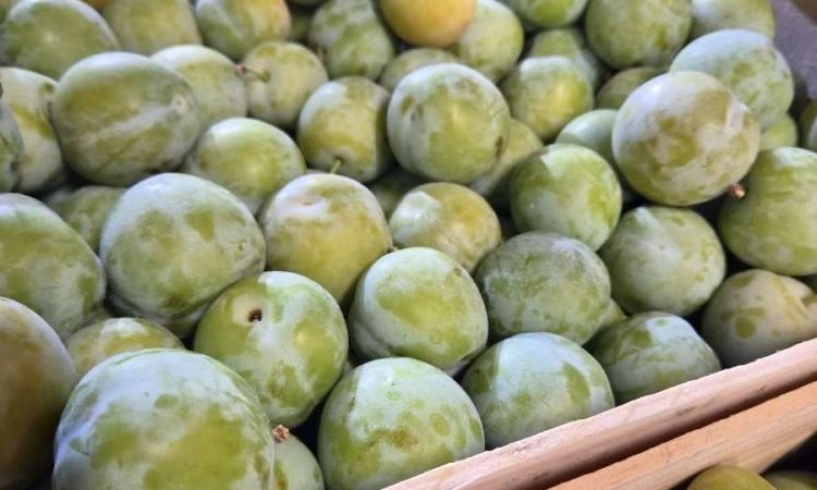 Vente et livraison de prunes et melons à Saint-Étienne : les fruits de saison du mois d'aoû