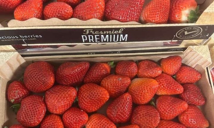 Vente et livraison de fraises locales et belges sur Saint-Étienne