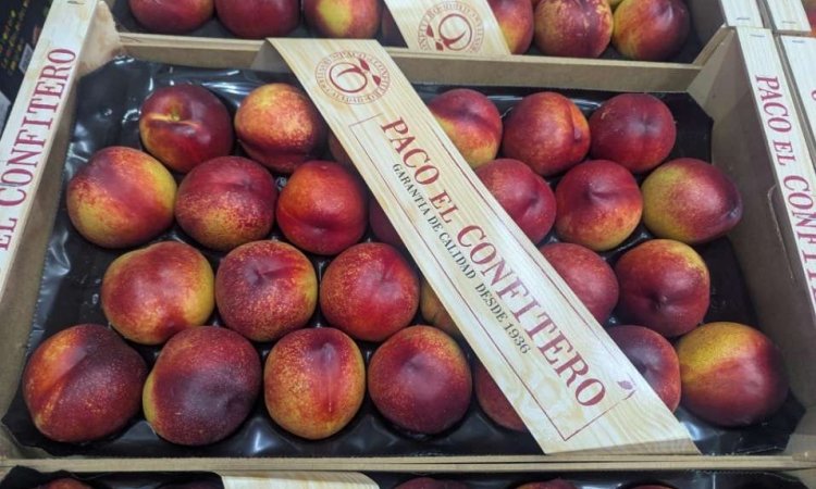 Vente et livraison de fruits à noyau de saison dans la Loire