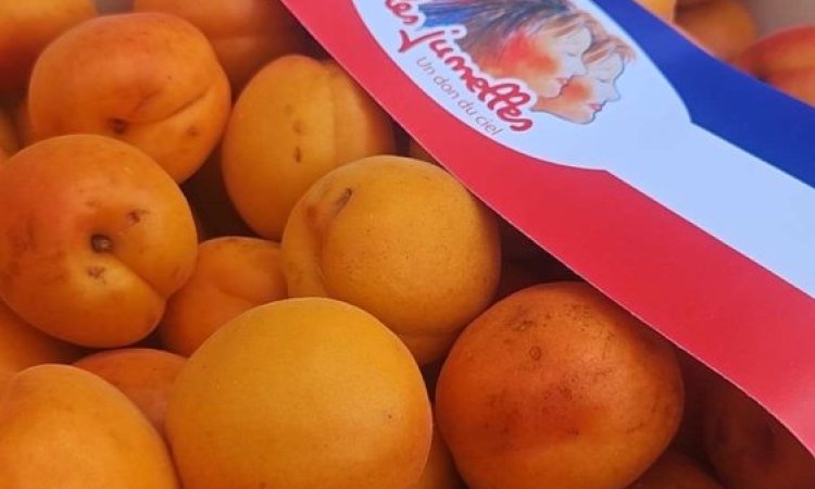 Vente et livraison d'abricots français dans la Loire.