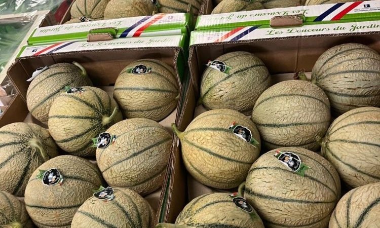 Vente et livraison de melon sur Saint-Etienne