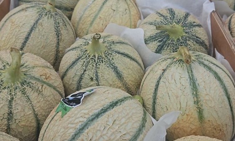 Vente et livraison de melon sur Saint-Etienne