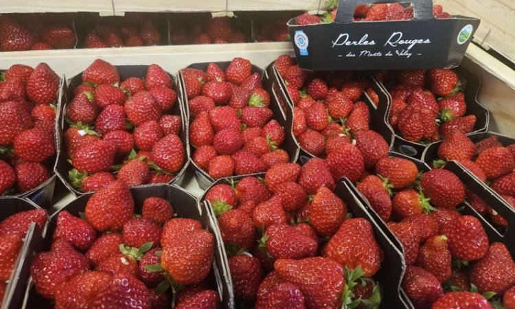 Vente et livraison de fruits rouges d'exception dans la Loire 42