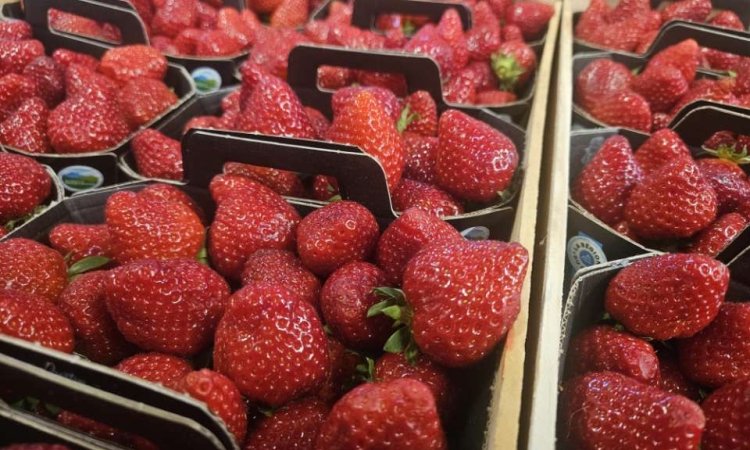 Vente et livraison de fruits rouges d'exception dans la Loire 42