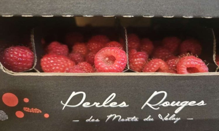 Vente et livraison de fruits rouges d'exception dans la Loire 42