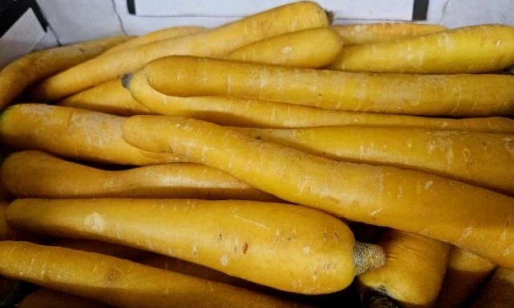 Vente achat livraison fruits et légumes saison hivernale secteur Saint-Etienne