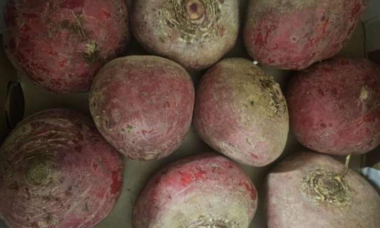 Vente achat livraison fruits et légumes saison hivernale secteur Saint-Etienne