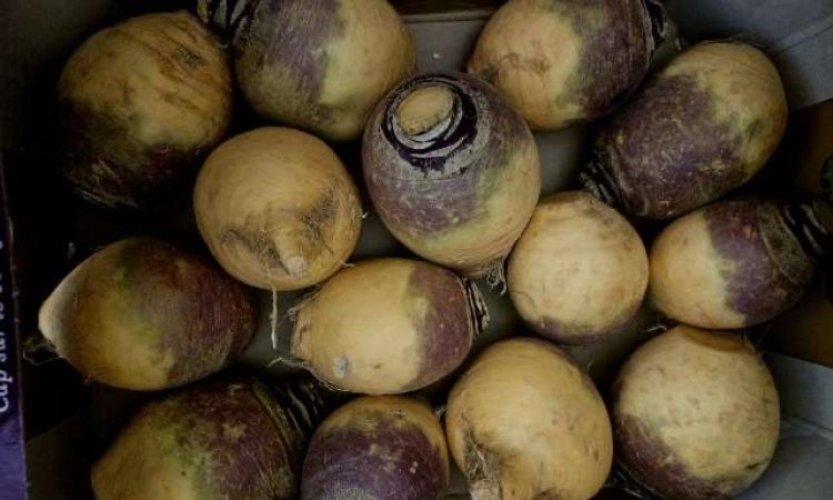 Vente achat livraison fruits et légumes saison hivernale secteur Saint-Etienne