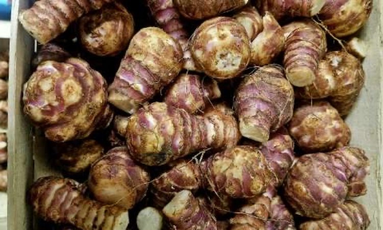 Vente achat livraison fruits et légumes saison hivernale secteur Saint-Etienne