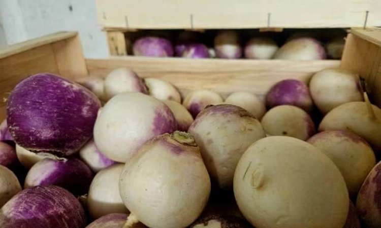 Vente achat livraison fruits et légumes saison hivernale secteur Saint-Etienne