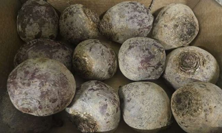 Vente achat livraison fruits et légumes saison hivernale secteur Saint-Etienne