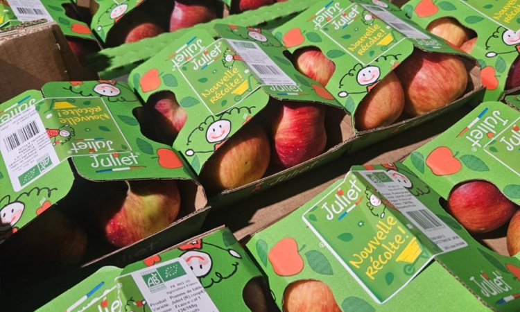 Livraison et vente de pomme bio dans la Loire et alentours