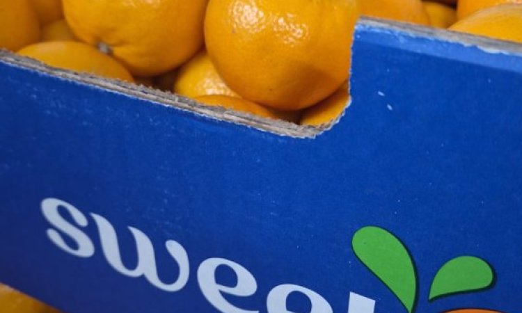 Vente et livraison de mandarines Orri à Saint-Étienne et dans la Loire